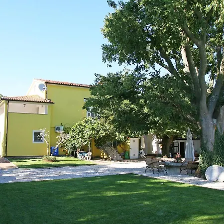 Nino-1 Apartment